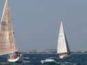 IMG_1519.jpg