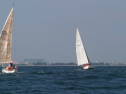 IMG_1523.jpg