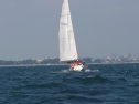 IMG_1524.jpg