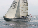 IMG_1528.jpg