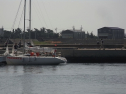 RIMG0274.jpg