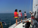 RIMG0293.jpg
