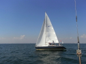 RIMG0311.jpg