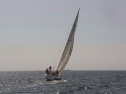 RIMG0316.jpg