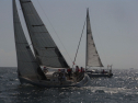 RIMG0321.jpg