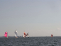 RIMG0325.jpg