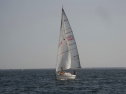 RIMG0329.jpg