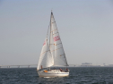 RIMG0330.jpg