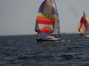 RIMG0331.jpg