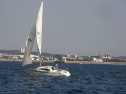 RIMG0339.jpg