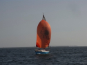 RIMG0342.jpg