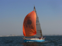RIMG0343.jpg