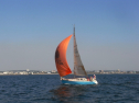 RIMG0345.jpg