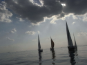 RIMG0077.jpg