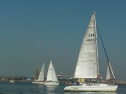 SANY0018.jpg