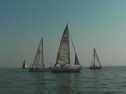 SANY0019.jpg