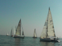 SANY0020.jpg