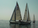 SANY0022.jpg