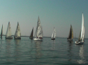 SANY0025.jpg