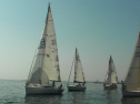 SANY0026.jpg