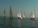 SANY0028.jpg