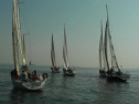 SANY0029.jpg
