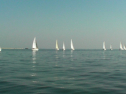 SANY0030.jpg