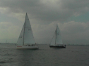 SANY0034.jpg