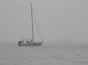 IMG_0076.jpg