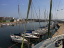 RIMG0198.jpg