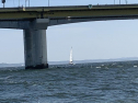 IMG_8091-1.jpg