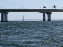 IMG_8093-1.jpg