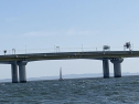IMG_8094-1.jpg