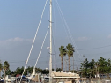 IMG_8095-1.jpg