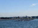 IMG_8426-1.jpg