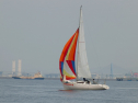 P4158609.jpg