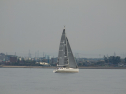 P4158615.jpg