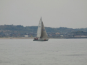 P4158617.jpg