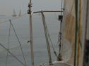 P4158638.jpg