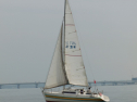 P4158639.jpg