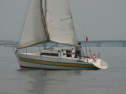 P4158641.jpg