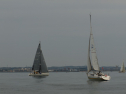 P4158642.jpg