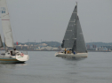 P4158646.jpg