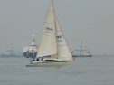 P4158649.jpg