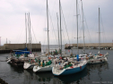 P9231237.jpg