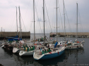 P9231240.jpg
