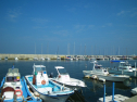 IMGP0095.jpg
