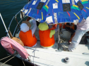 IMGP0109.jpg