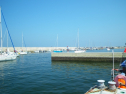 IMGP0110.jpg
