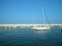 IMGP0111.jpg